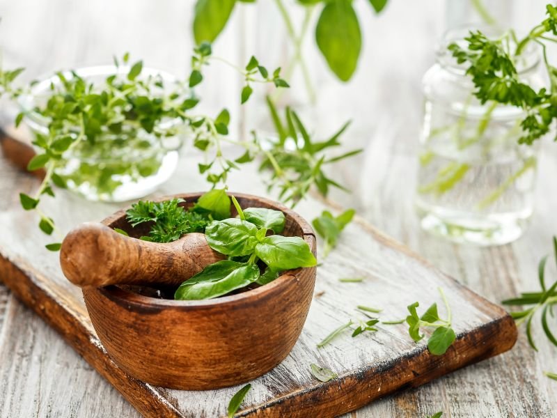 Salad-herbs-by-GMVodz