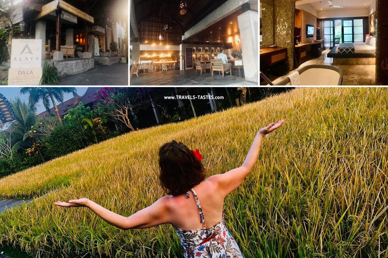 Alaya Resort Ubud, Bali, Review
