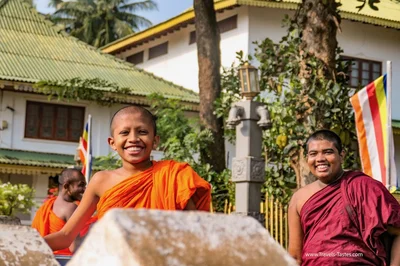 dambulla monks
