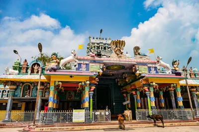 Hindu Temple with cattle, Sri Lanka