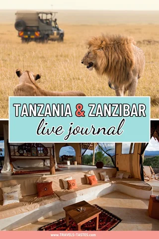 Tanzania & Zanzibar live journal