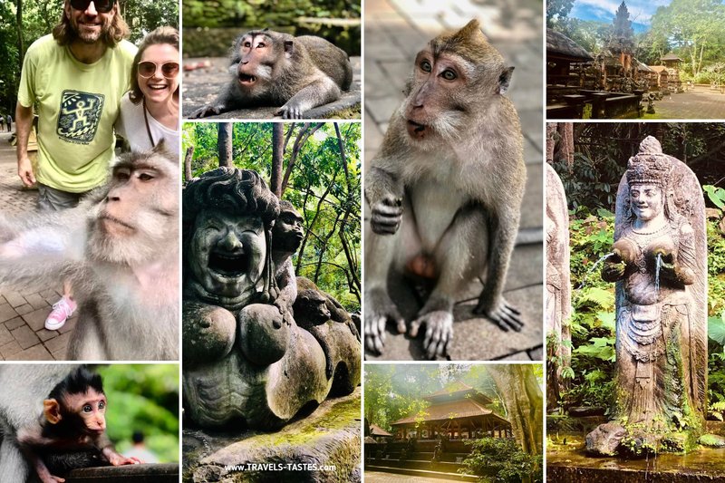 Ubud Bali Sacred Monkey Forest by Travels-Tastes.com