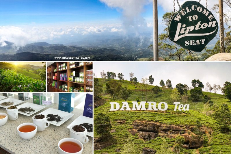 Tea Culture in Sri Lanka